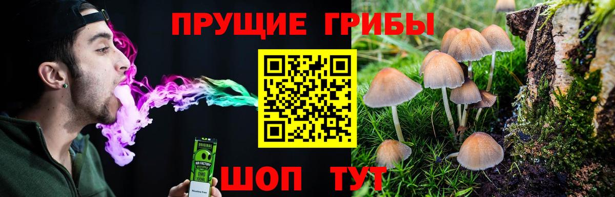 Псилоцибиновые грибы прущие грибы Артёмовский